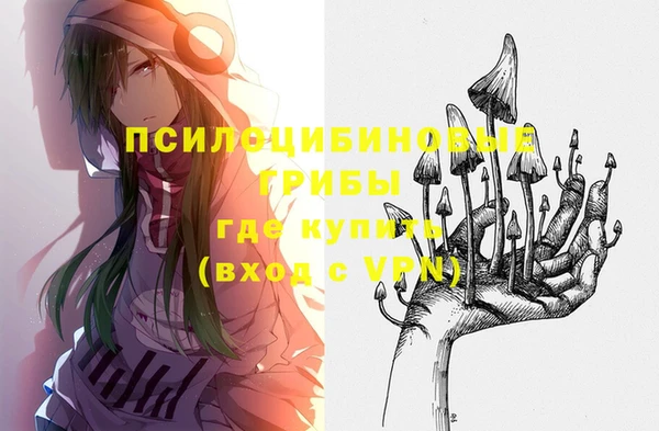тгк Арсеньев