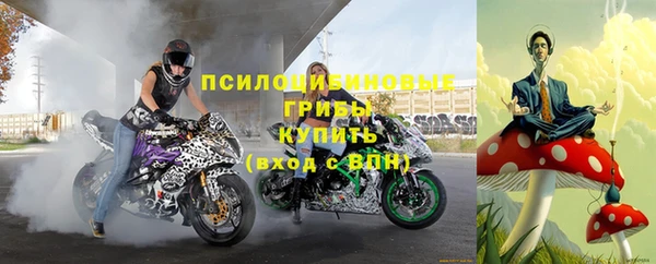 тгк Арсеньев