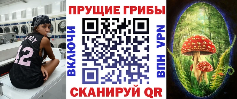 Галлюциногенные грибы ЛСД  наркошоп  Змеиногорск 