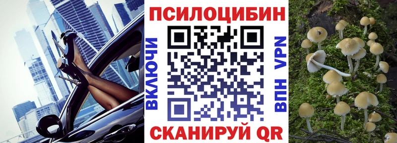 Галлюциногенные грибы ЛСД Змеиногорск